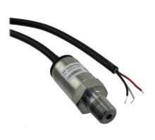 P51-1000-S-A-I36-4.5V-000-000 이미지